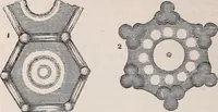 An illustration from The microscope and its revelations (1891)