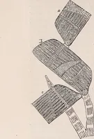 An illustration from The microscope and its revelations (1891)