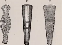 An illustration from The microscope and its revelations (1891)