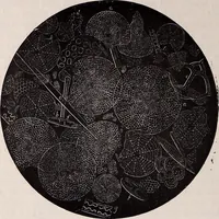 An illustration from The microscope and its revelations (1891)