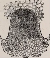 An illustration from The microscope and its revelations (1891)