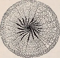 An illustration from The microscope and its revelations (1891)
