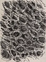 An illustration from The microscope and its revelations (1891)