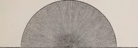 An illustration from The microscope and its revelations (1891)