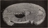 An illustration from The microscope and its revelations (1891)