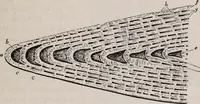 An illustration from The microscope and its revelations (1891)