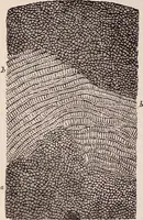 An illustration from The microscope and its revelations (1891)
