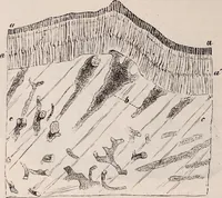An illustration from The microscope and its revelations (1891)