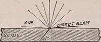 An illustration from The microscope and its revelations (1891)