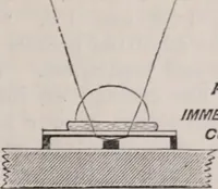An illustration from The microscope and its revelations (1891)