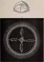 An illustration from The microscope and its revelations (1891)