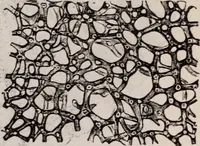 An illustration from The microscope and its revelations (1891)