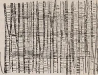 An illustration from The microscope and its revelations (1891)