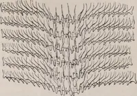 An illustration from The microscope and its revelations (1891)