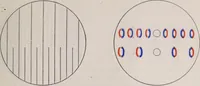 An illustration from The microscope and its revelations (1891)
