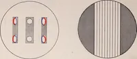 An illustration from The microscope and its revelations (1891)