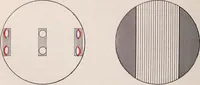 An illustration from The microscope and its revelations (1891)