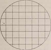 An illustration from The microscope and its revelations (1891)