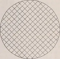 An illustration from The microscope and its revelations (1891)
