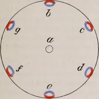An illustration from The microscope and its revelations (1891)