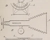 An illustration from The microscope and its revelations (1891)