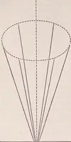 An illustration from The microscope and its revelations (1891)