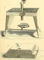 An illustration from The microscope and its revelations (1856)