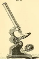 An illustration from The microscope and its revelations (1856)