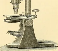 An illustration from The microscope and its revelations (1856)