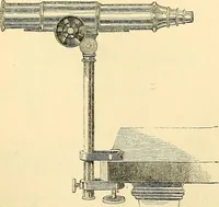 An illustration from The microscope and its revelations (1856)