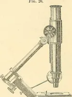 An illustration from The microscope and its revelations (1856)