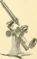 An illustration from The microscope and its revelations (1856)