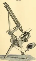 An illustration from The microscope and its revelations (1856)