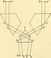An illustration from The microscope and its revelations (1856)