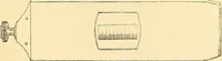 An illustration from The microscope and its revelations (1856)