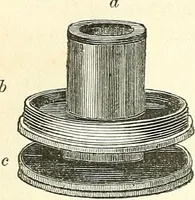 An illustration from The microscope and its revelations (1856)