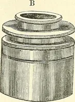 An illustration from The microscope and its revelations (1856)