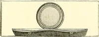 An illustration from The microscope and its revelations (1856)