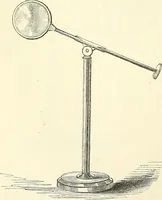 An illustration from The microscope and its revelations (1856)