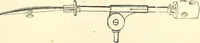 An illustration from The microscope and its revelations (1856)