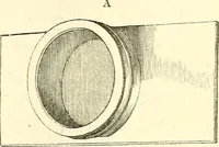 An illustration from The microscope and its revelations (1856)