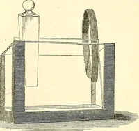 An illustration from The microscope and its revelations (1856)