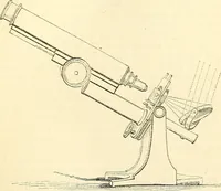 An illustration from The microscope and its revelations (1856)
