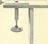 An illustration from The microscope and its revelations (1856)