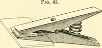 An illustration from The microscope and its revelations (1856)