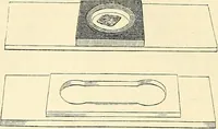 An illustration from The microscope and its revelations (1856)