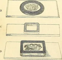 An illustration from The microscope and its revelations (1856)