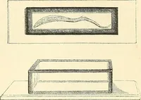An illustration from The microscope and its revelations (1856)