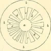 An illustration from The microscope and its revelations (1856)