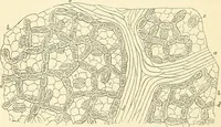An illustration from The microscope and its revelations (1856)